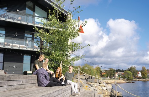 Foto på 5 studenter som sitter vid bryggan i Campus Karlshamn