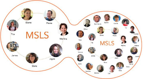 MSLS Team Picture of the msls-team