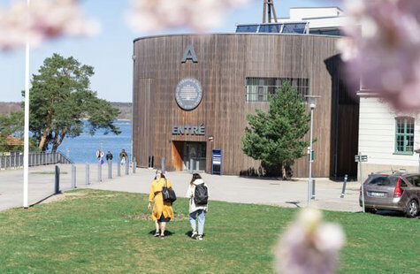 People walking towards campus 